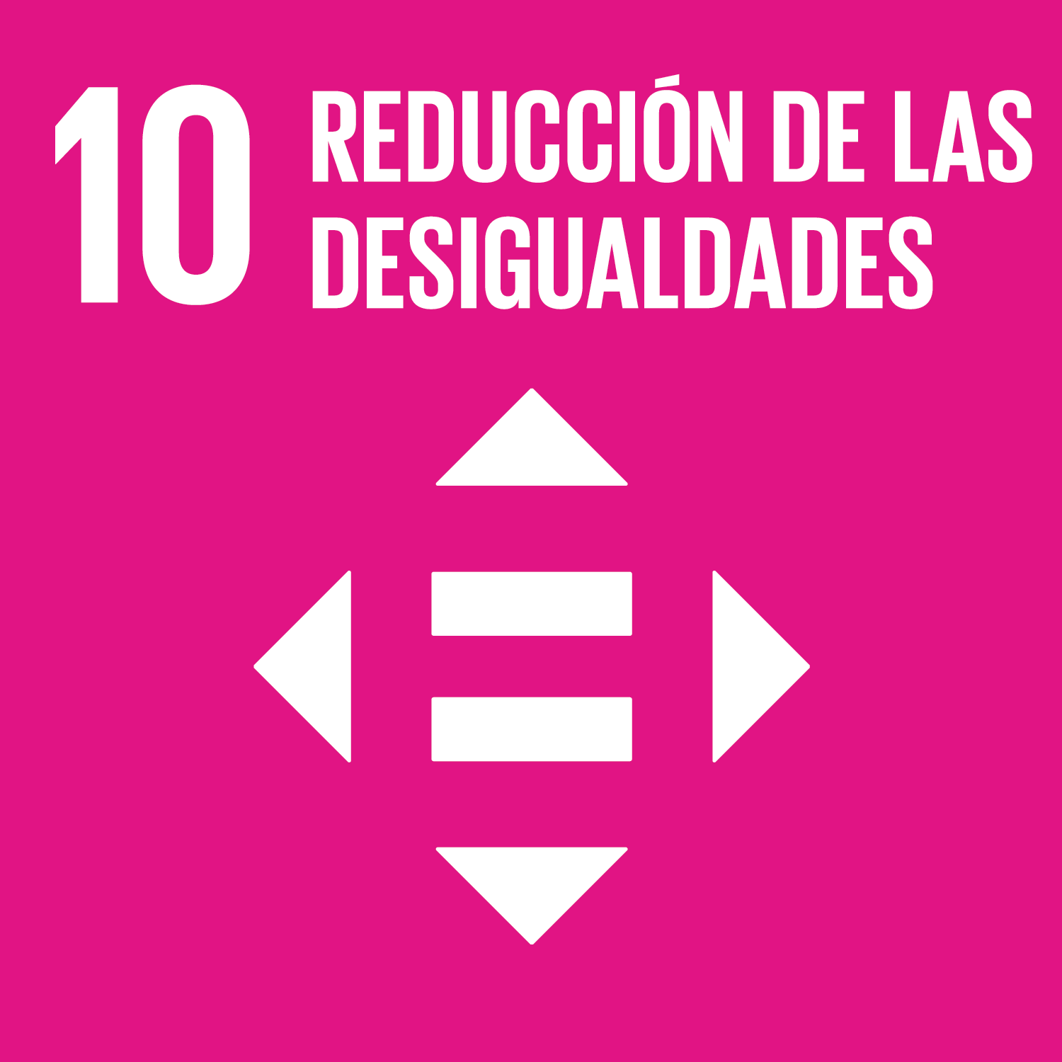 Objetivo 10 - Reducción de las desigualdades