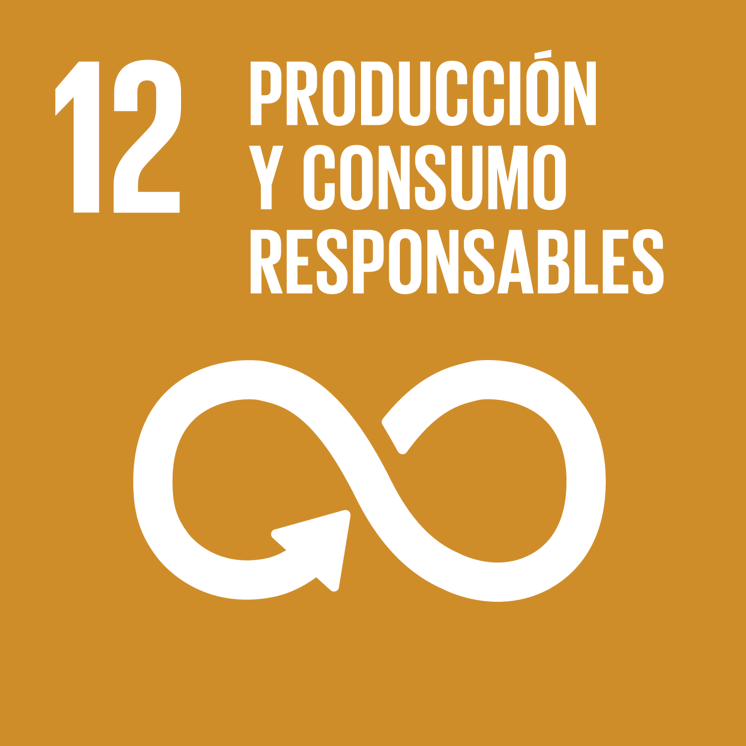 Objetivo 12 - Producción y consumo responsable