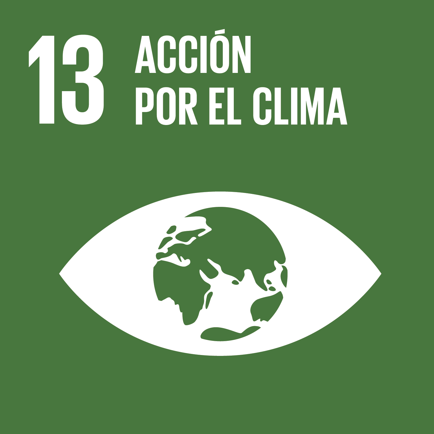 Objetivo 13 - Acción por el clima