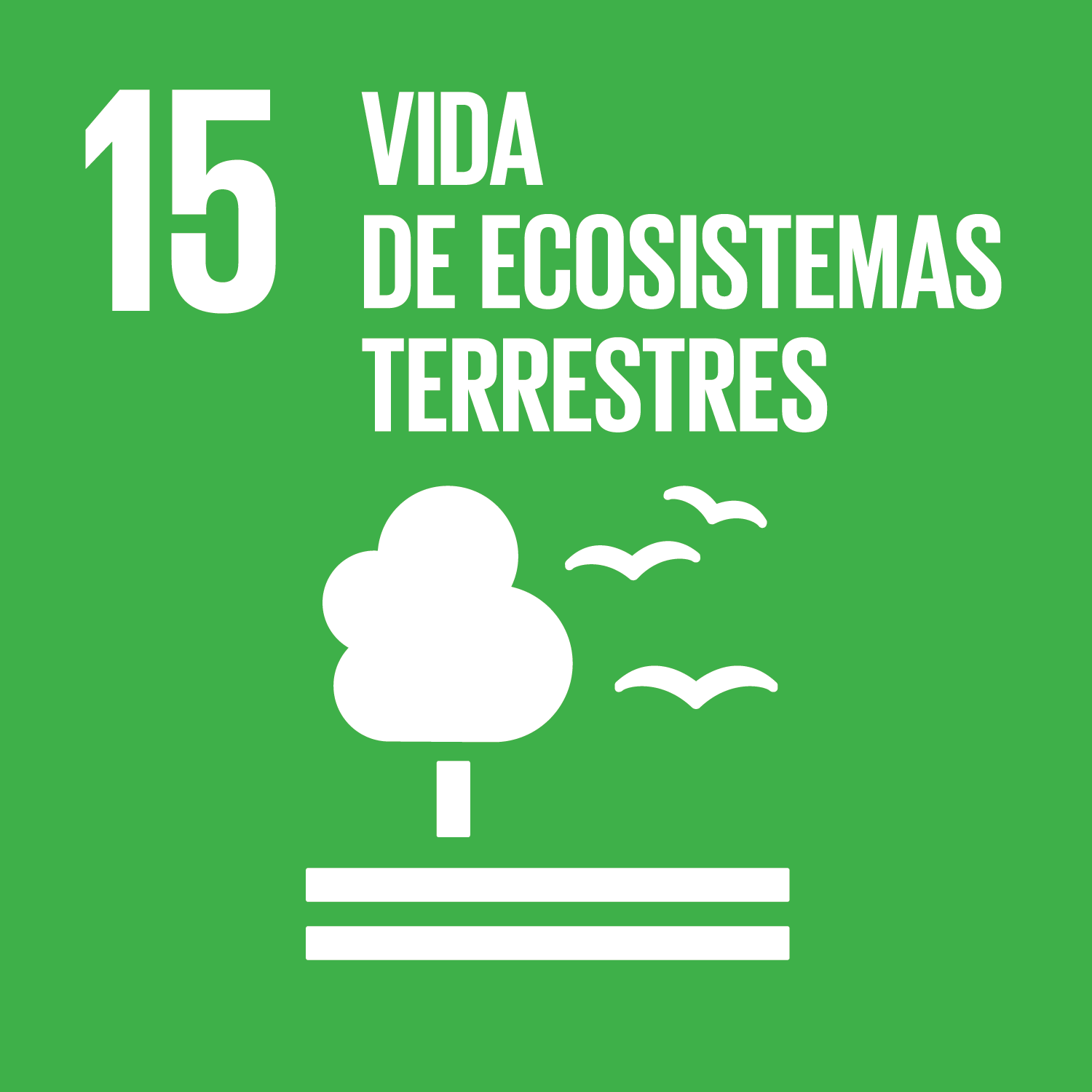 Objetivo 15 - Vida de ecosistemas terrestres