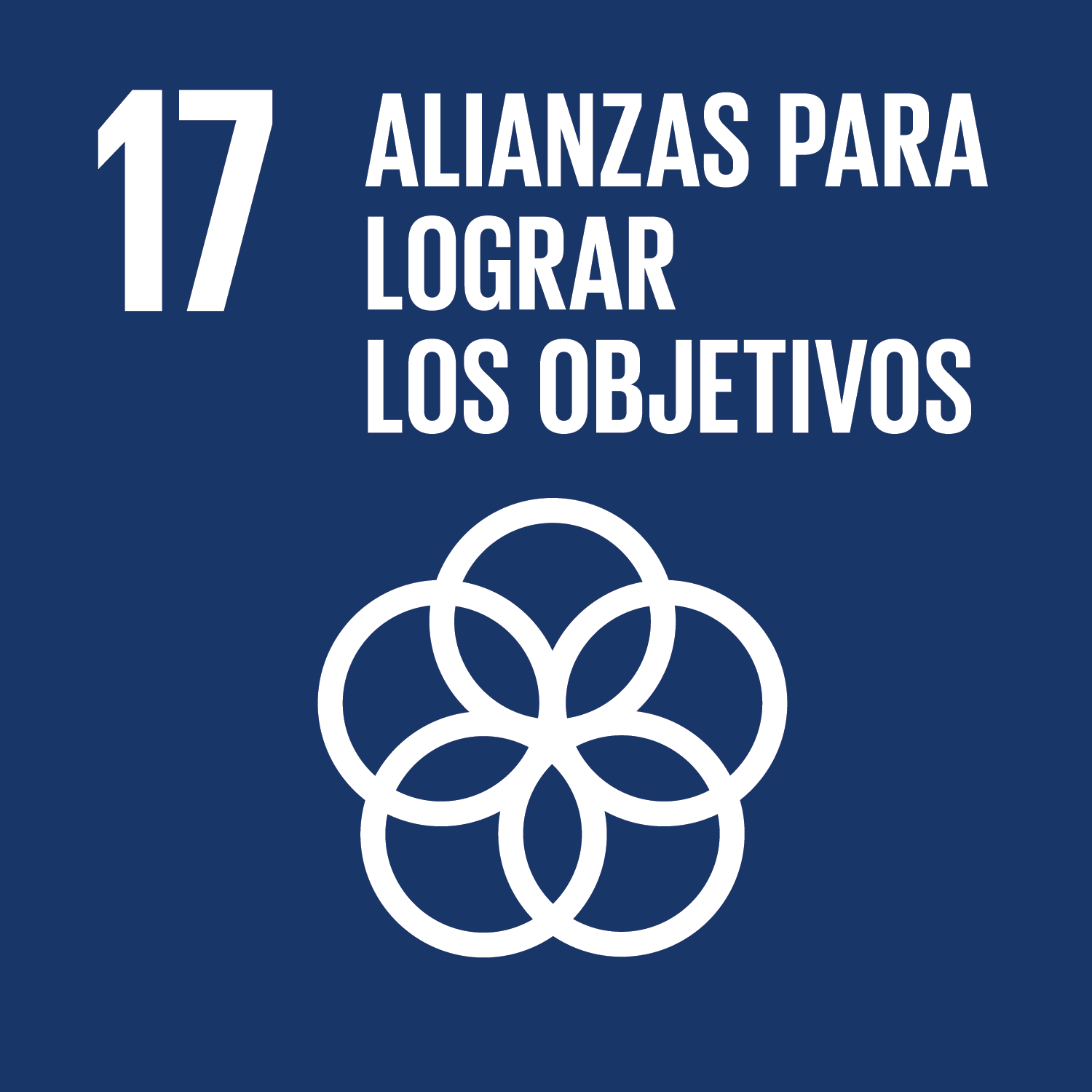 Objetivo 17 - Alianzas para lograr los objetivos